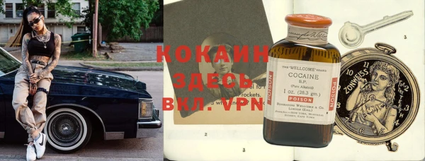 прущие крисы Балахна